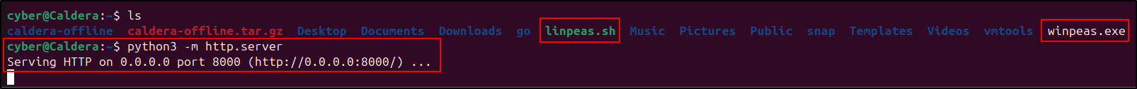 Temporary payload web server used by the preserved proof of concept